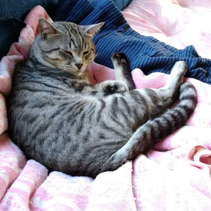 21ecfd80 7062 4acf 987d 5600f2709cac 1626562082462