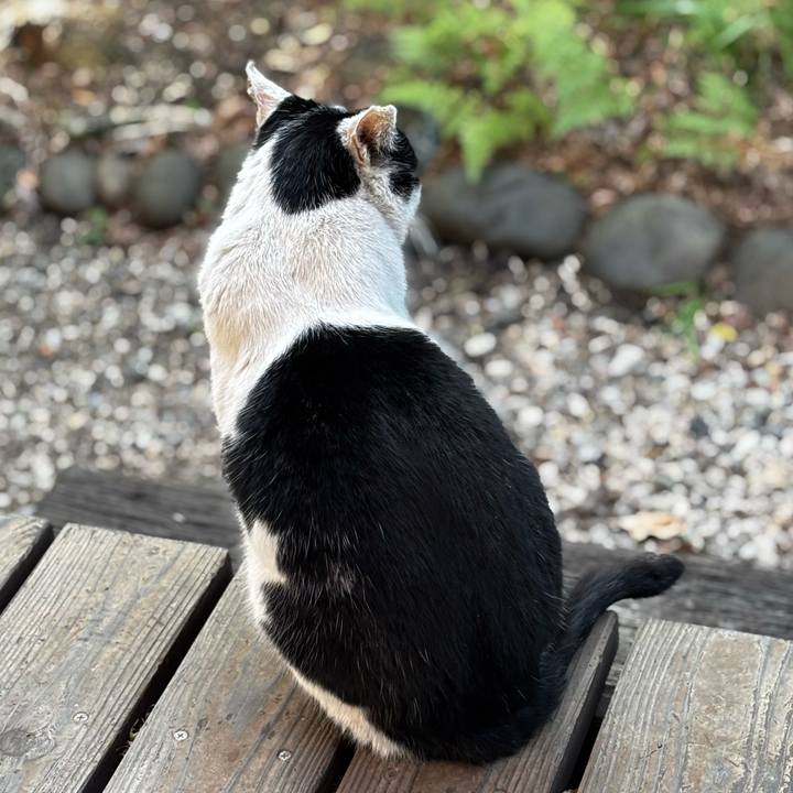 21ed1dc5 a2e5 463c 8767 08590d41a4fd 1771058846290