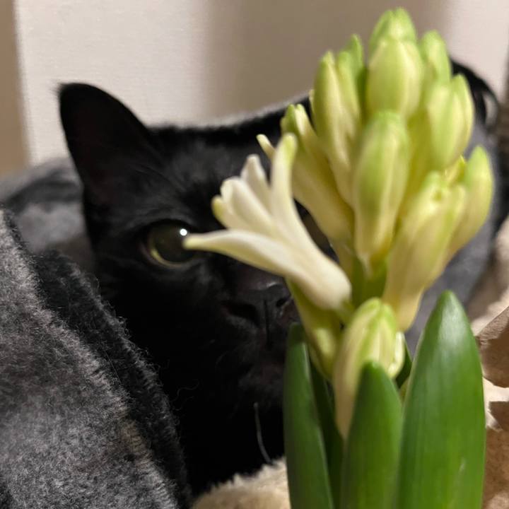 21ed1ec6 4b42 4ae3 9c3e 93ac84a0c1a5 1707351249254