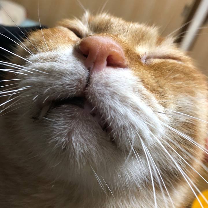 21ed7795 774d 46e7 8896 76f02a94e4e8 1737631534197