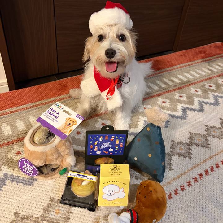 21ed9489 4a81 42cd 957f d4462884a51a 1766548856740