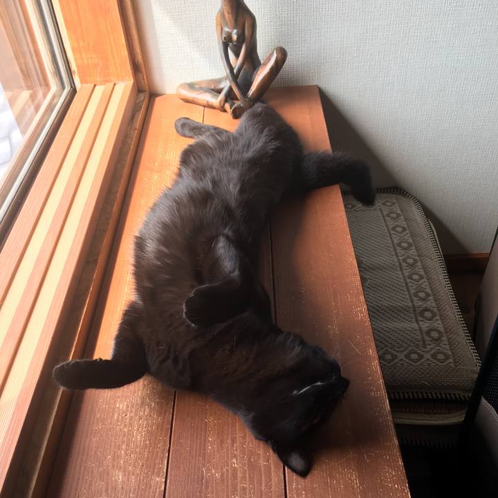 21ee507f e39d 4ee7 8777 953b4274bf34 1537666479505