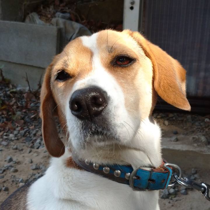 21ee6a5c a6da 45ce 8da3 dce5558a6cbf 1608180452400