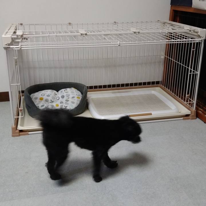 21ee76ef 02f1 49e7 a9fb 8536505341e1 1663158491786