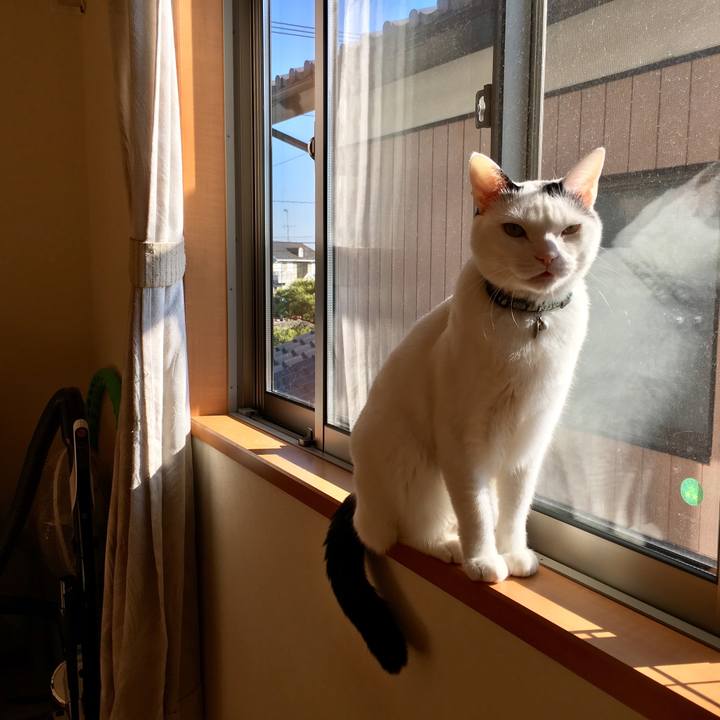 21ee79c7 194a 4a43 b79c 615deb1049fa 1512614189796