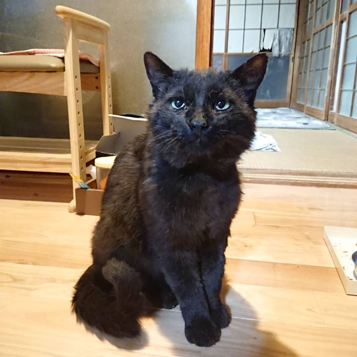 21ee8c94 a426 4e16 b3c8 f0b5e683dbd5 1622549349068