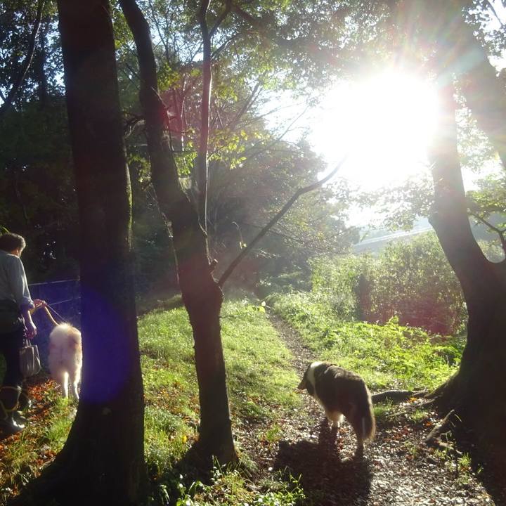 21ee92d4 f6bf 465a a535 1ce29d4e5303 1601386957848