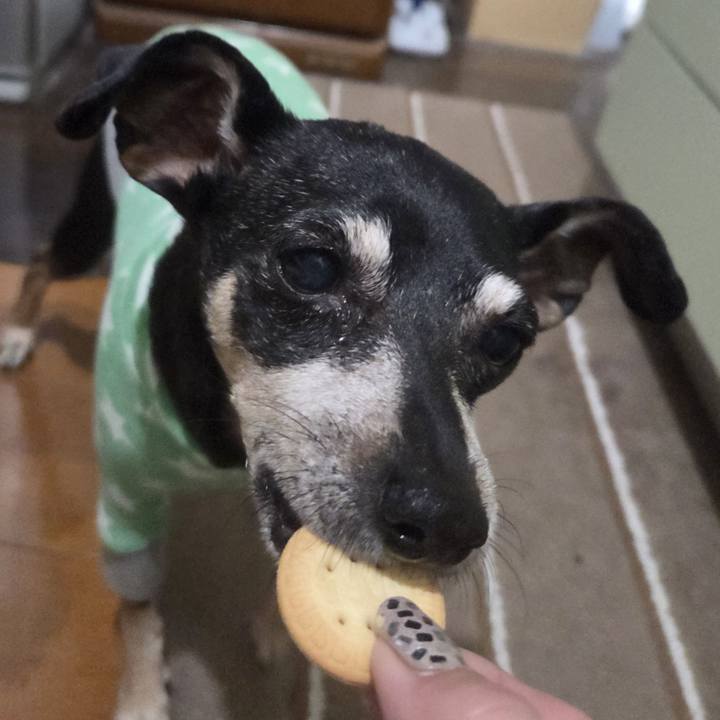 21eed493 b1ae 4208 af89 d8f7afa17ff3 1766777559105