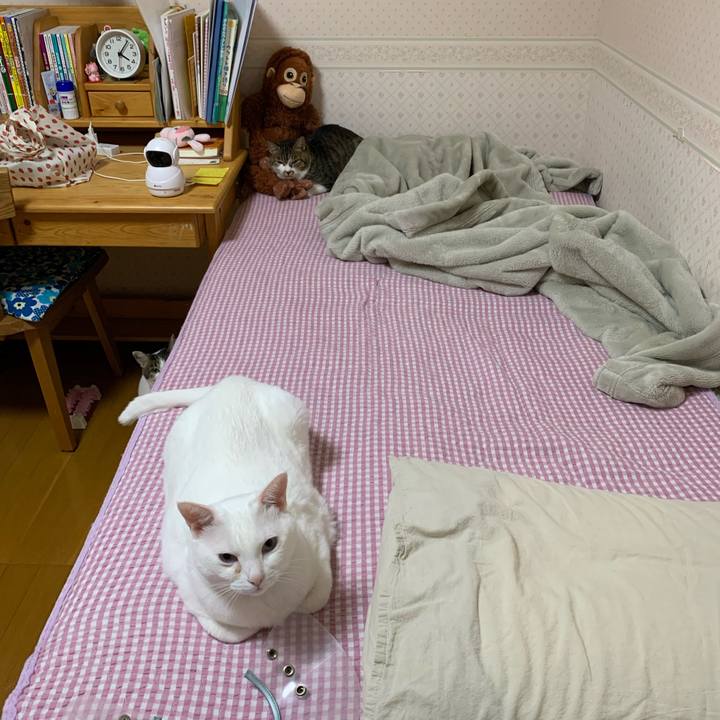 21eefe81 f7d0 422b a5ab 6b30e6fc48af 1635275886874