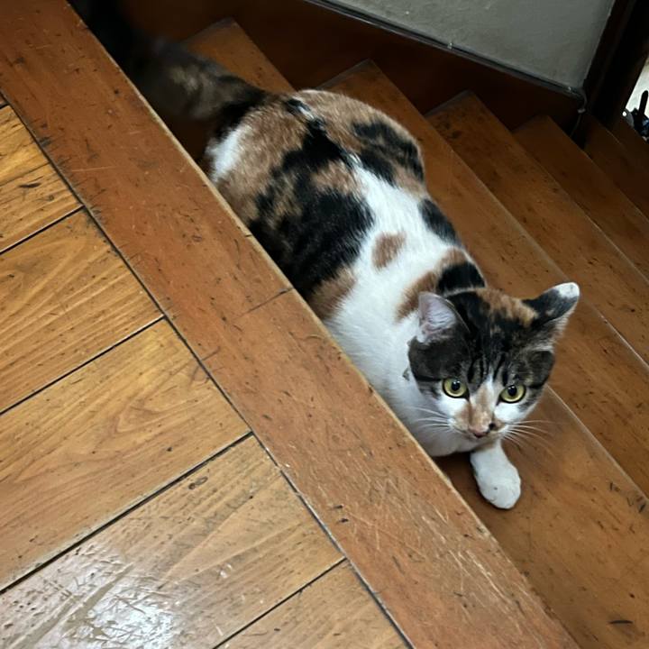 21ef1882 1f96 4ab8 848c d5b8255731e5 1765808036225