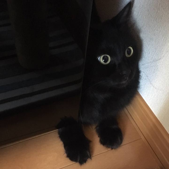 21ef6d5d 7bc1 438c 9c5a b3ae304c74a8 1508988327088