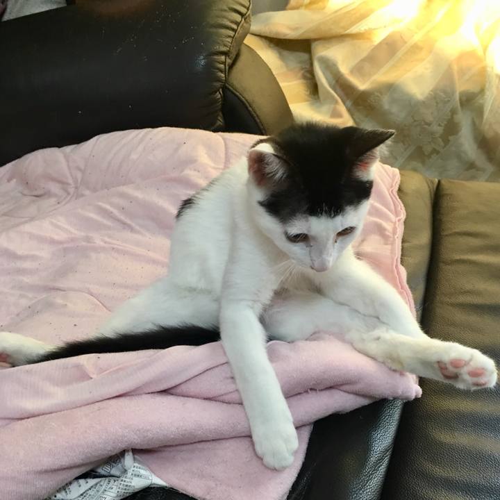 21ef7d27 ce1d 4c08 9126 45c5142b87e8 1535817209151