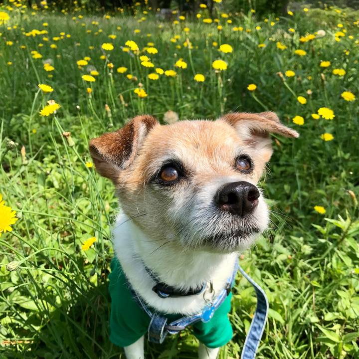 21eff6ac bf32 4202 82ae 86191d5a246e 1652847630379