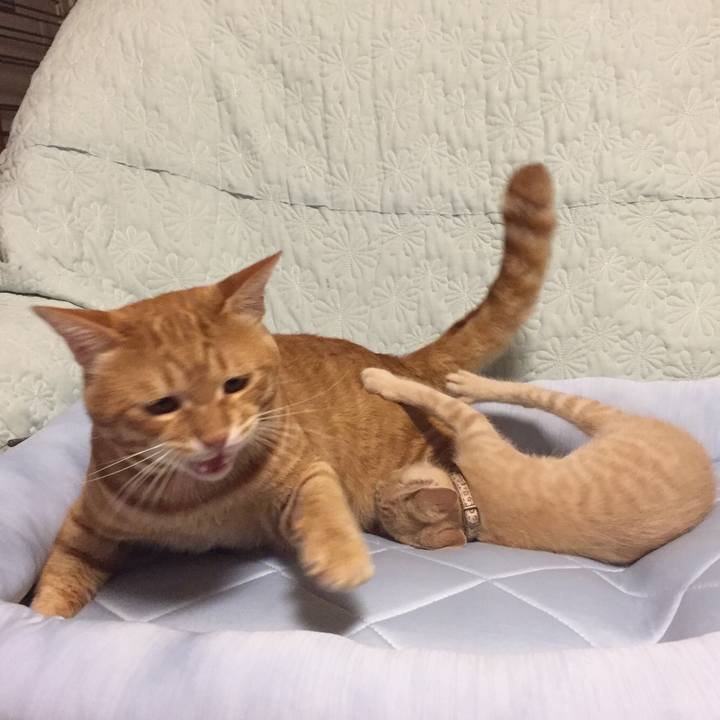 21effaae 2bd9 40bf 8148 2a2e9899eec3 1533555790700