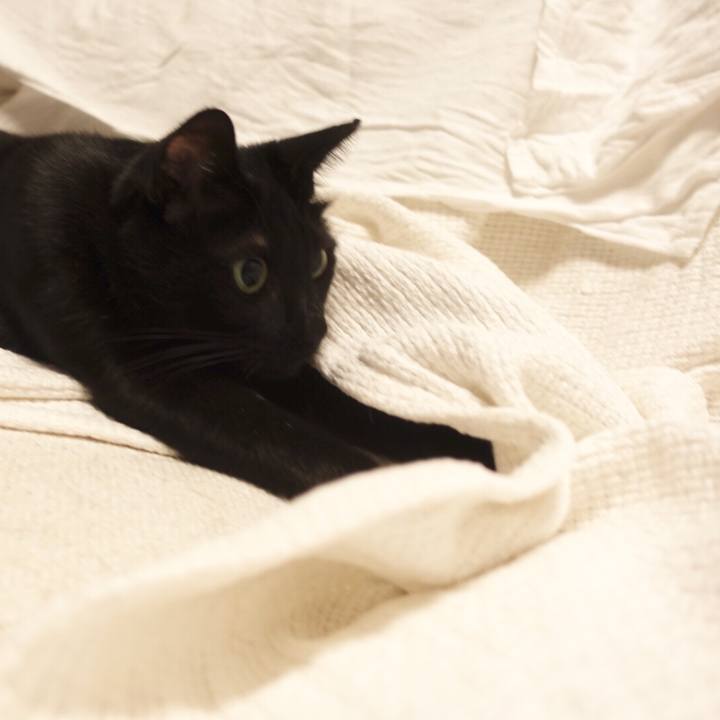 21f011ff 230d 4be5 8ad4 3c856c69603b 1565706814360