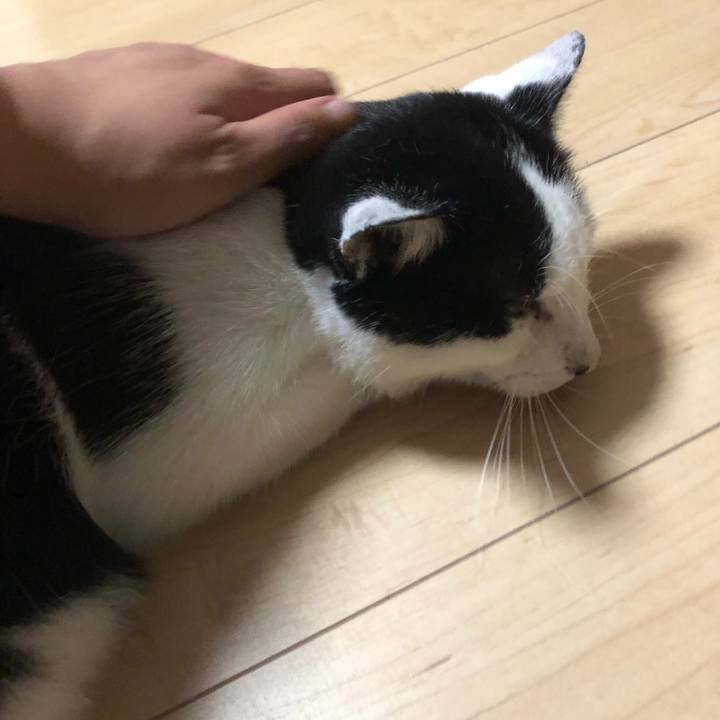 21f01cb2 b6b9 4c34 bef8 7f83365fc2f2 1568032416184