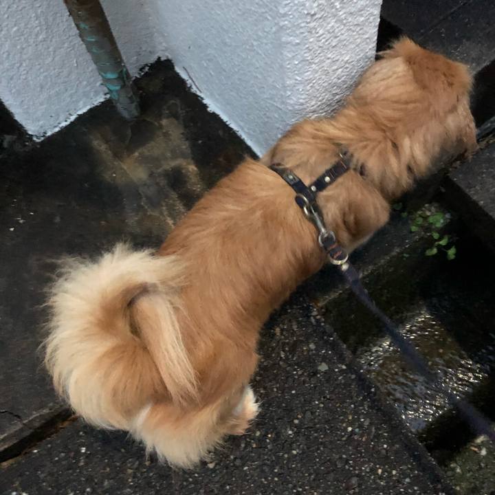 21f01cb3 b356 4c6c 9475 d43e36c33040 1520545267989