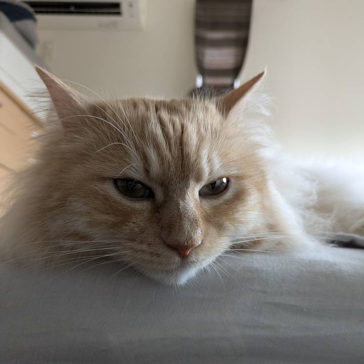 21f04644 8d98 47b6 bf49 0ef9aee33660 1750635148026