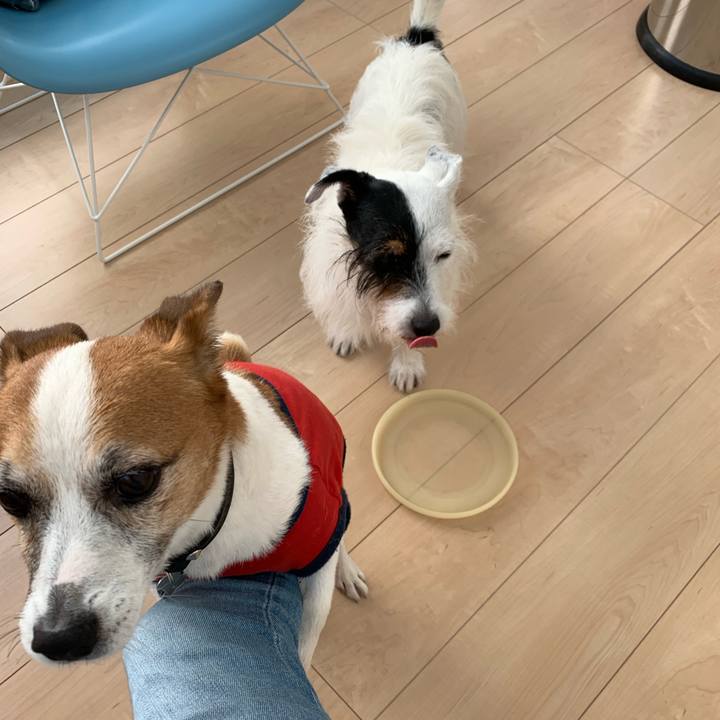 21f04cb2 c044 4657 8488 eaf9a0f592ca 1629424202820