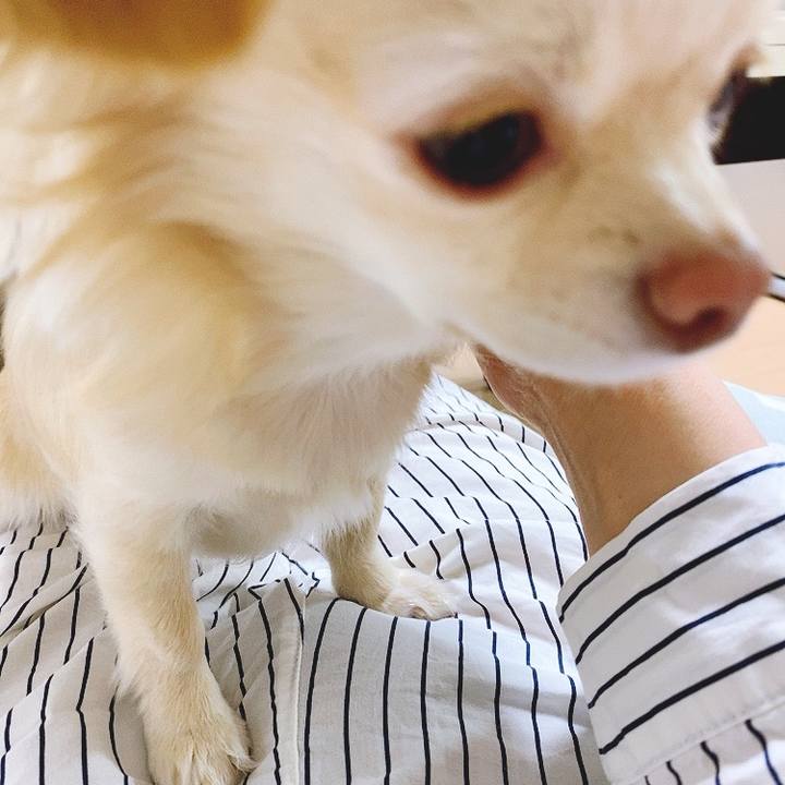 21f0893a 7f47 41cc 89ad a9e26fbe4e13 1619440001216