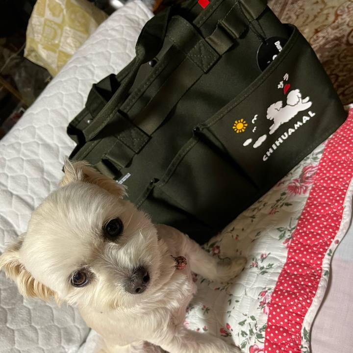 21f0a676 2d46 4176 bb46 deecc17bd4b1 1652530945368