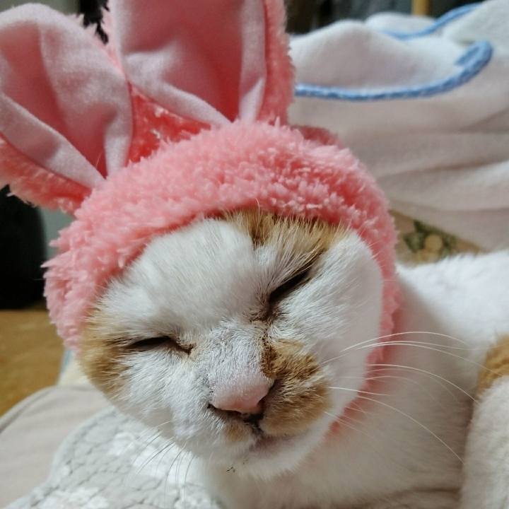 21f0d73d 9d8a 4615 a248 24e4d0fda08c 1556623638308