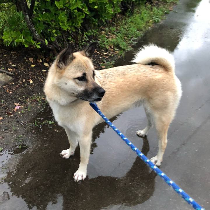 21f0e849 cff8 4bfe bf0f e273a8ff55eb 1562759574931