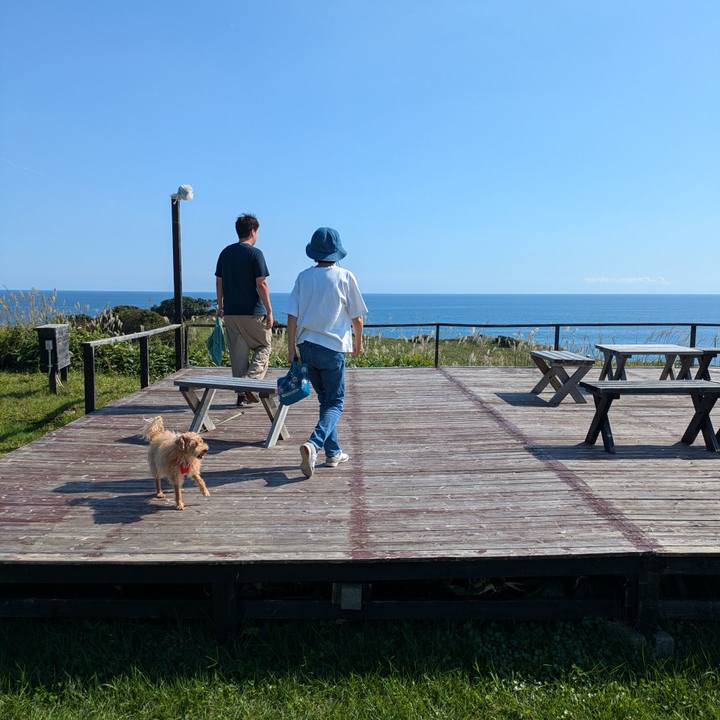 21f0ee1a d972 4409 a460 4c1def63f420 1726020231830