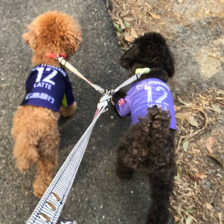 21f0fbbc bc77 41a8 b710 0704c0e8a9a1 1582269526107