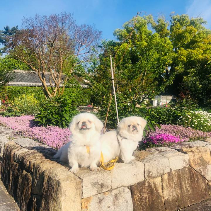 21f11d82 00ad 45ad 9fda 19d8b825c58d 1619178296205