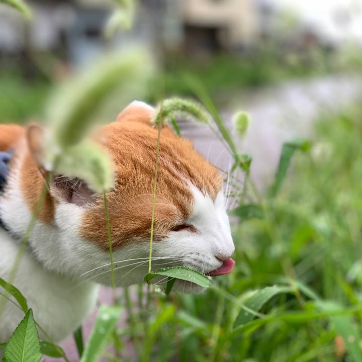 21f132bc 4078 4f39 9efe 7c2386ef7e05 1568610926969