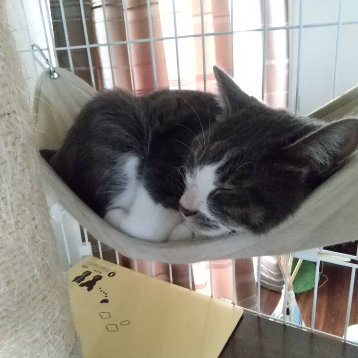 21f13448 39f1 4990 9673 a73c55a73b50 1603350289065