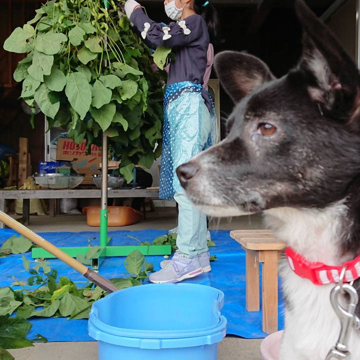 21f15dd2 7ae8 405e 8d1d 203ac7fef5f9 1602419356345