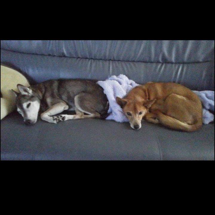 21f16414 076c 4672 8faa a88e1b3807c5 1611496231606