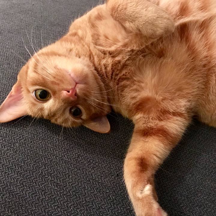 21f17c98 44a1 4f2a 93c0 829ed07108f0 1598787869036