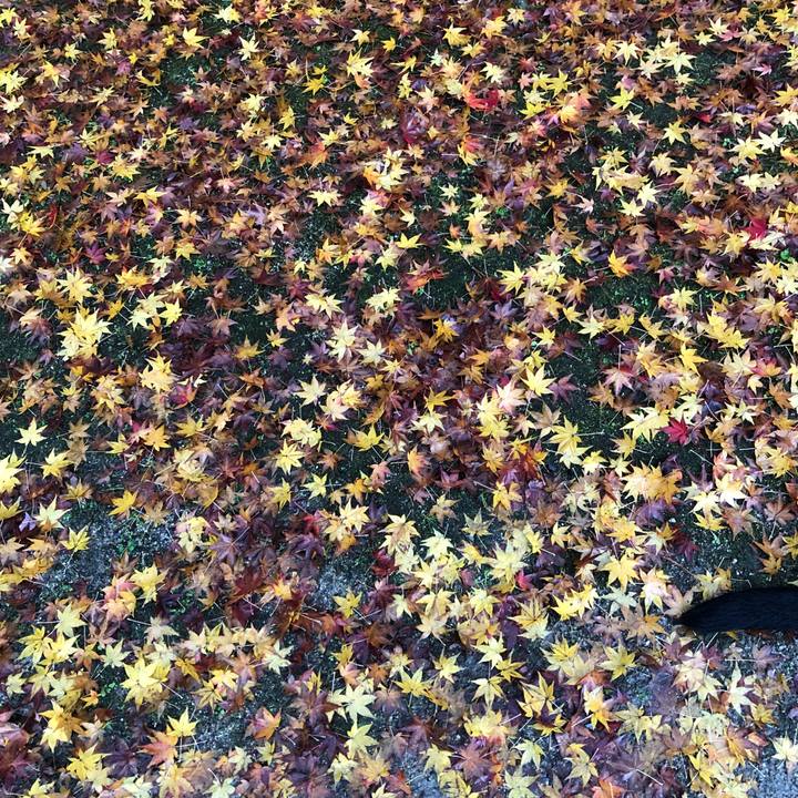 21f1873f b389 4740 8777 7dc98fb2065a 1576117305759