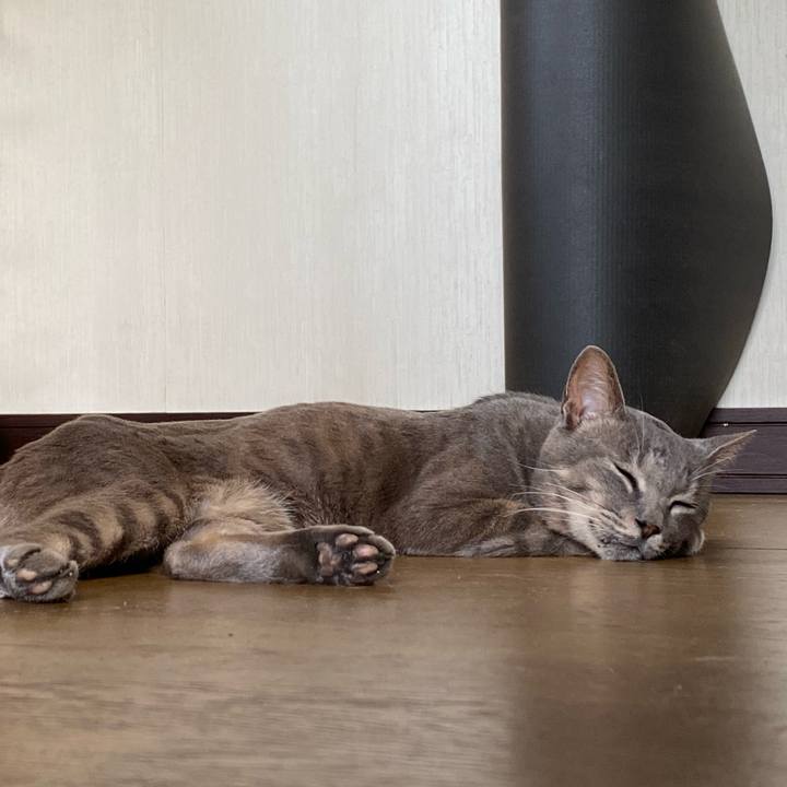 21f1b449 4dd7 4dc4 8b88 68fe01bb6e6a 1628726932689