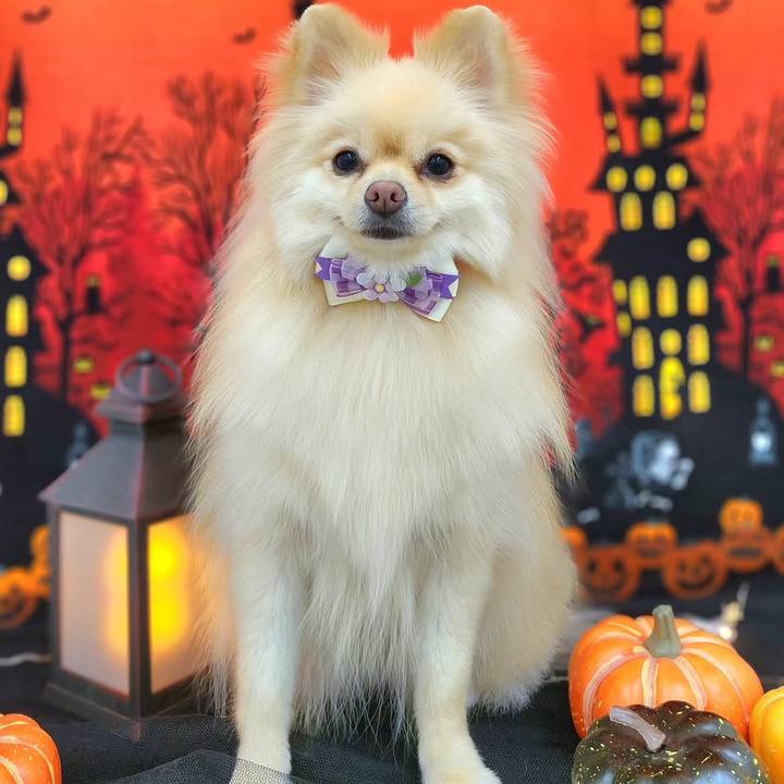 21f1e962 3696 4ded a397 64a55d38f67f 1759922485938