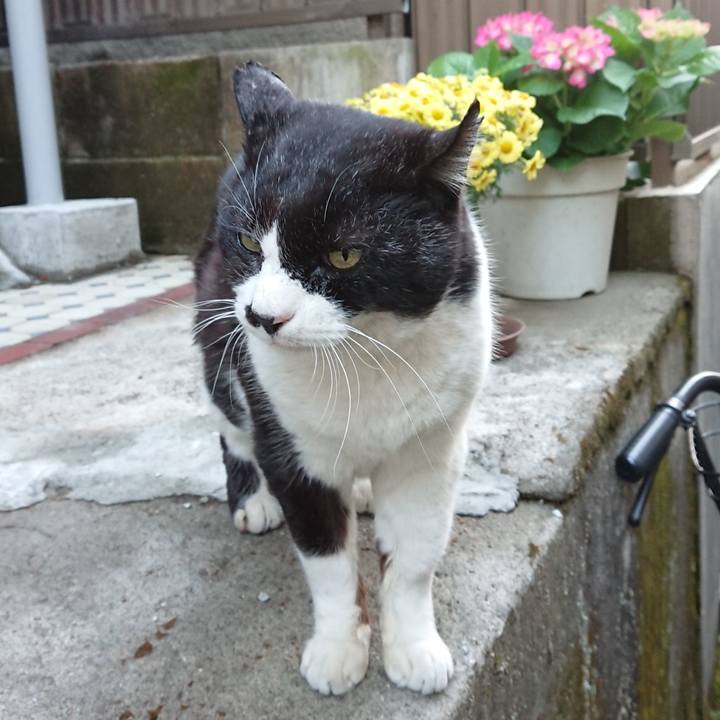 21f219bb 0605 4068 8a72 9deecc20953b 1648113361632