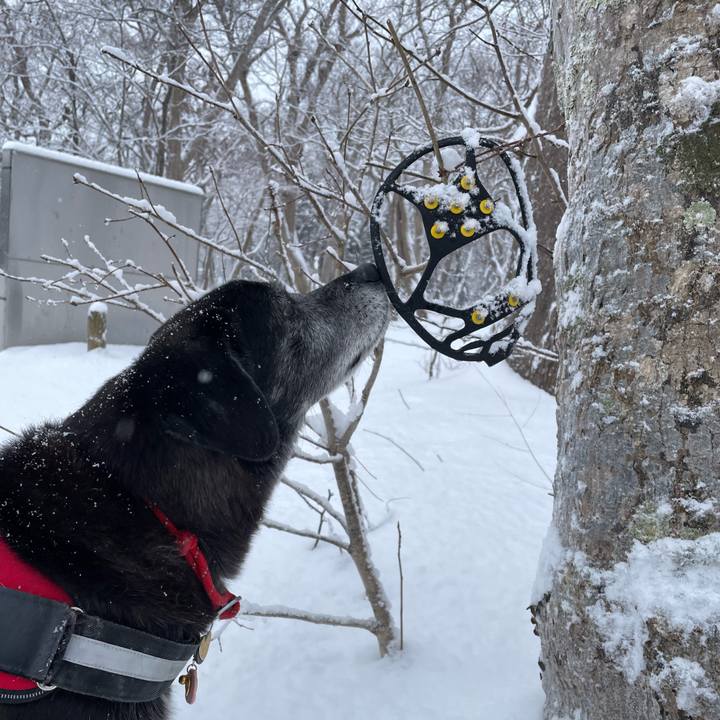 21f21cb5 38b2 4ffe 9acd 5655a72450d4 1767951647121