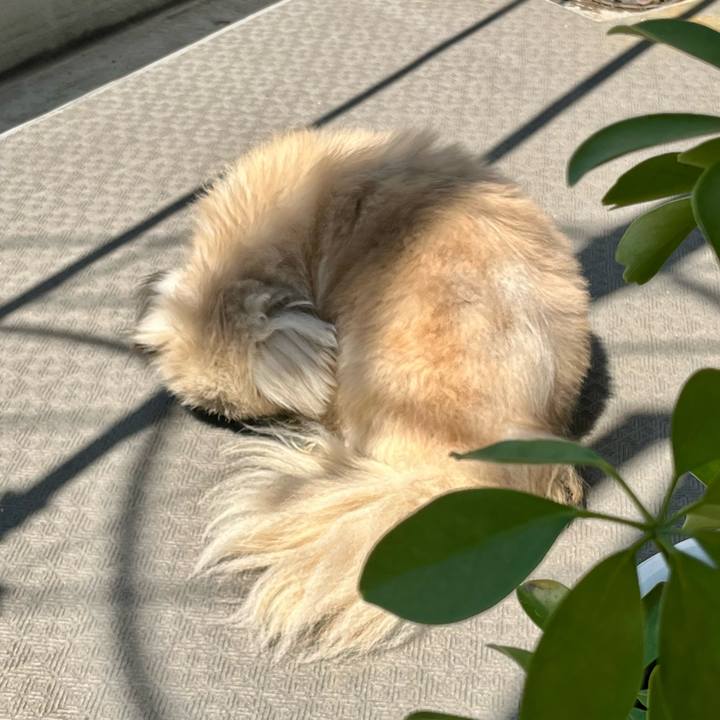 21f224ec 1f1e 4077 b5df 175867490f53 1750120554890