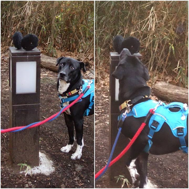 21f23d59 337e 406e 9b5f 6905453a53cf 1612656223855