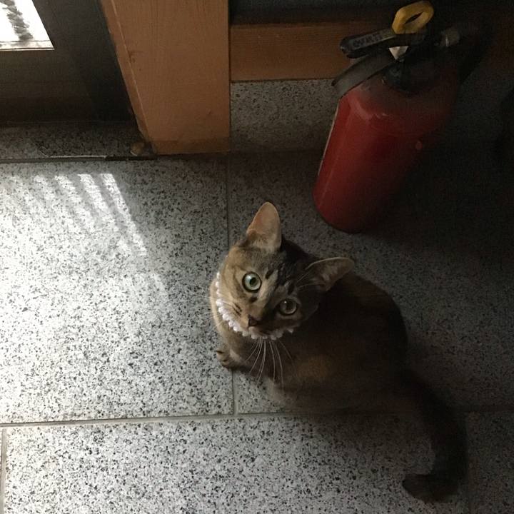 21f23e46 68c5 431c 911b 602bb629805e 1597994141643