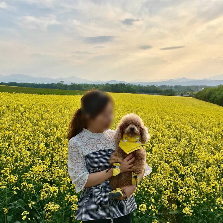 21f2482e d8a0 47a8 88b2 fcc3575a2823 1527677029932