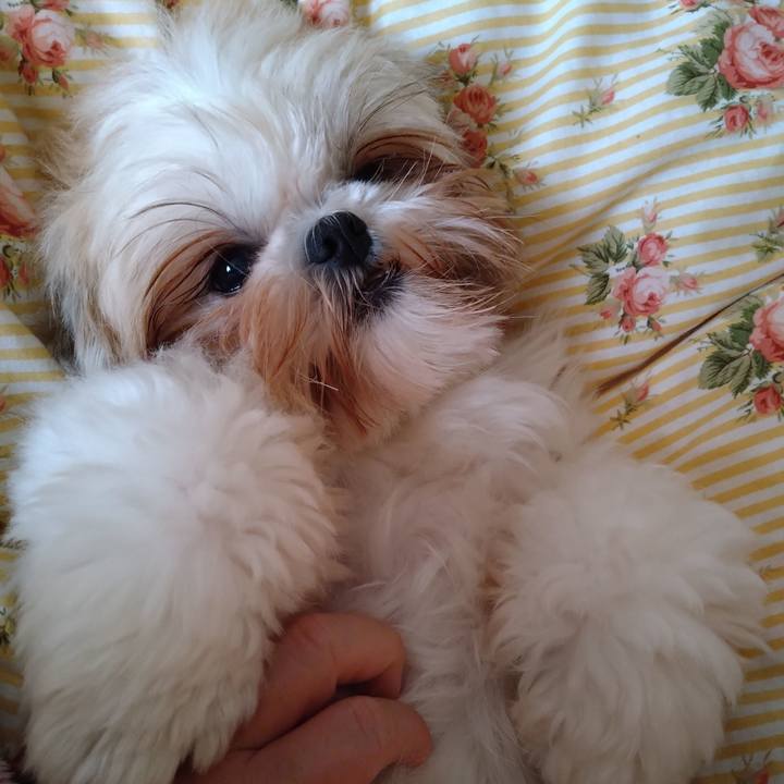 21f28d65 a583 4135 89a3 532b51643ba9 1606516474421