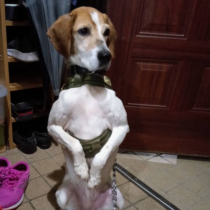 21f29235 c0a0 439c 9aba b804618c43fc 1714303946697