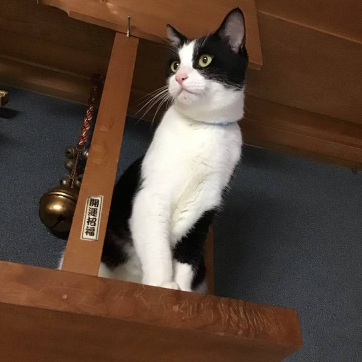 21f2a2e2 8b5b 45f2 b03a ebd4c0e2a0d4 1757841204870