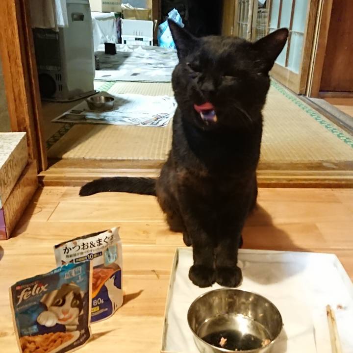 21f2a80a def8 4f3c bf38 17e5f28ef411 1626695702301