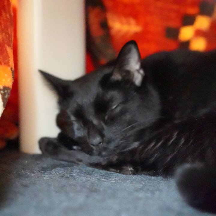 21f2d44f 6fc0 4b21 86ec 18e41ef69670 1576195474127