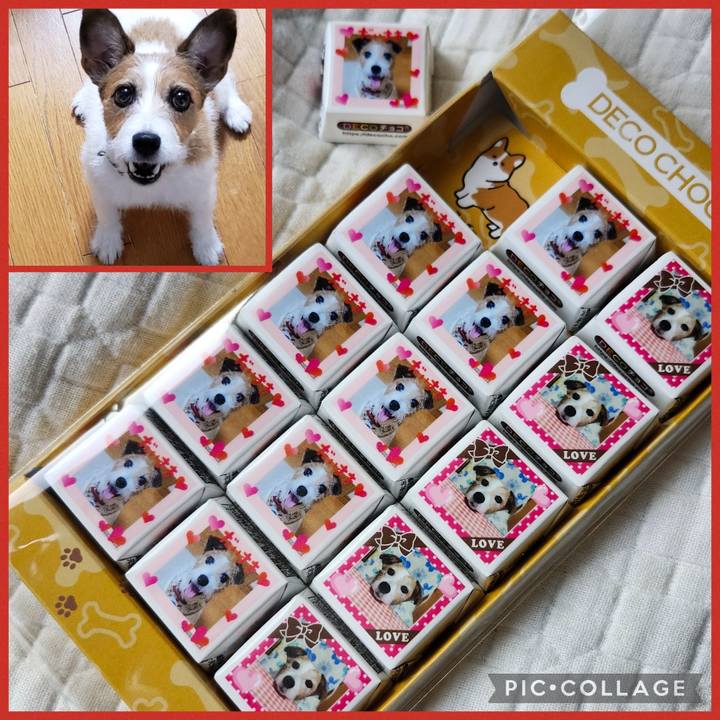 21f309b6 f6d7 4a27 9fda 35795a6c6802 1763621540946